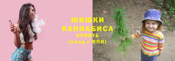 эйфоретик Осинники