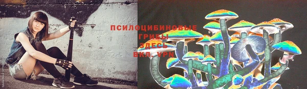 эйфоретик Осинники